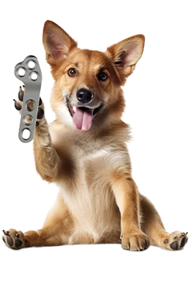 Veterinary Orthopedic Implants for Animal Fracture Fixation by Siora Surgicals