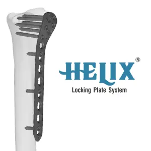 Helix — Helical Blade Hip System